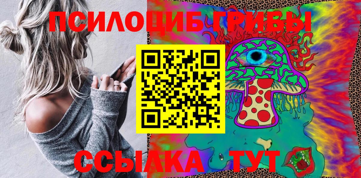 Минусинск  Галлюциногенные грибы прущие грибы  Вход с VPN 