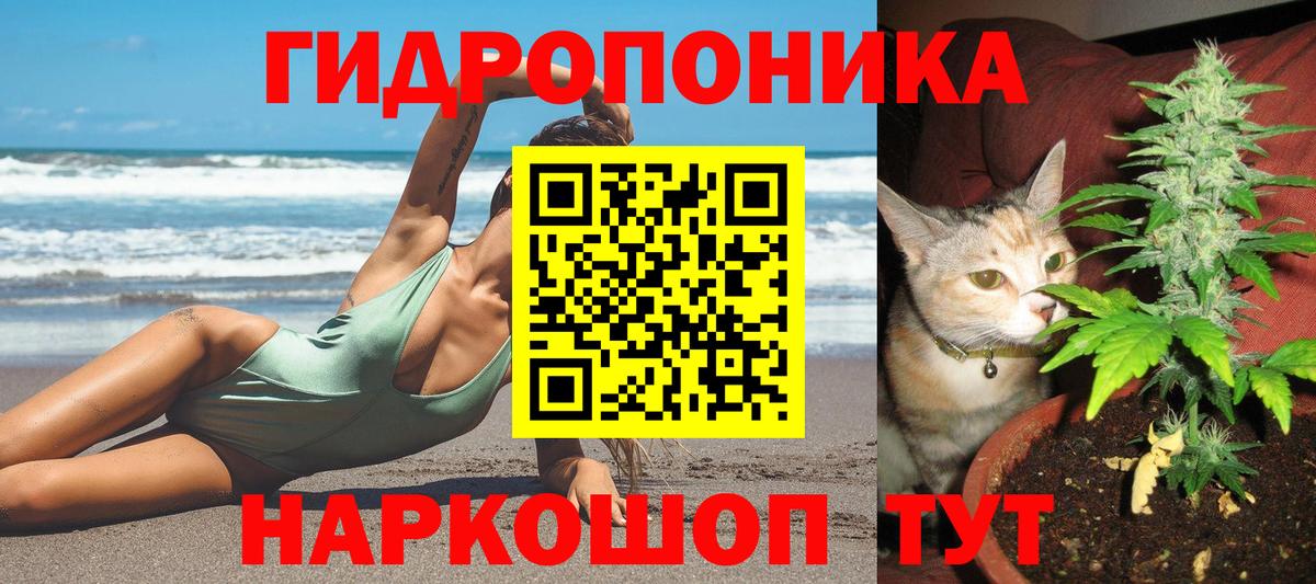 Шишки марихуана OG Kush Минусинск